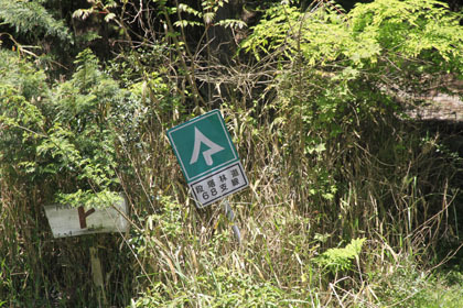 梶原林道６８支線