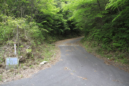 長峰林道