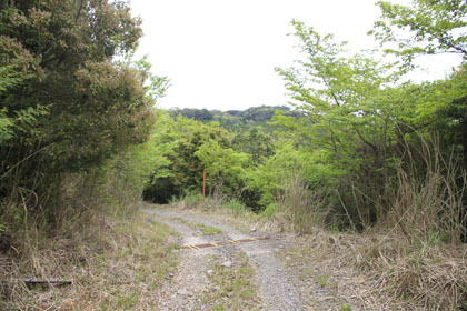 長峰林道