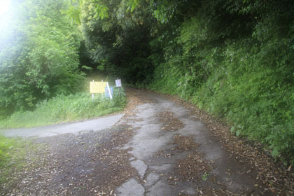 高塚林道