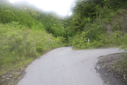 白山林道（大箆柄岳）