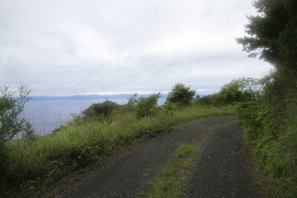 白山林道（大箆柄岳）