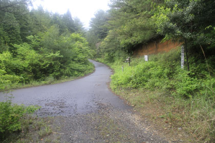 白山林道（大箆柄岳）