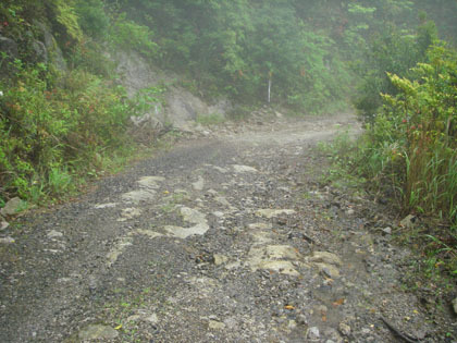落平国見林道
