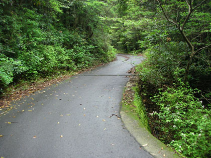 大谷添林道