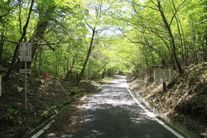 村道大川内野路線