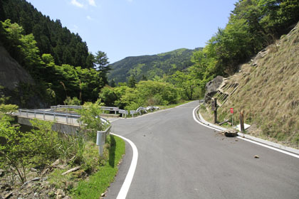 村道大川内野路線