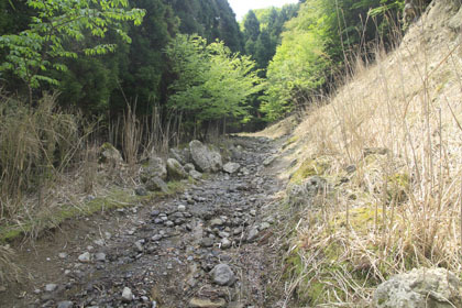 薬師林道