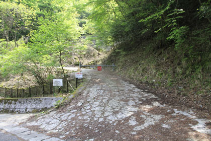 経読林道