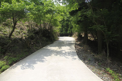 城井林道