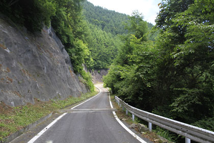 櫛形山林道