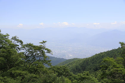 櫛形山林道