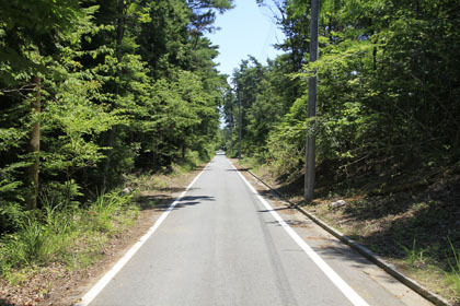 櫛形山林道