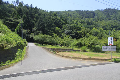 櫛形山林道