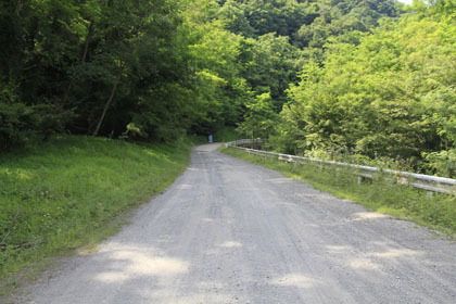 小武川林道