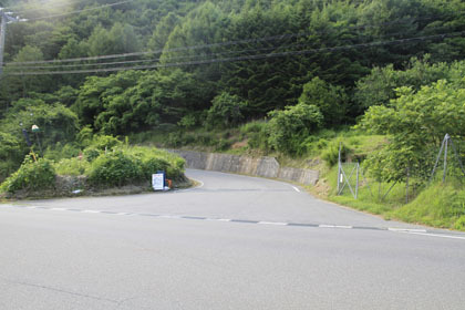 日影入林道