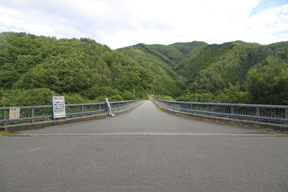 日影入林道