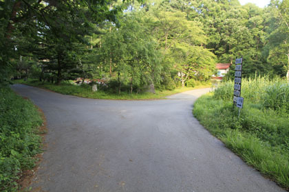 坂室林道