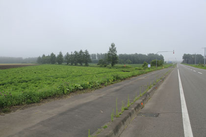 奥糠内林道