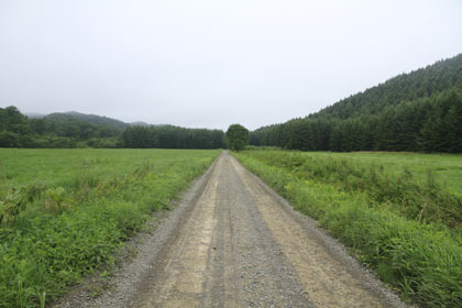 小花林道