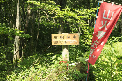 右股林道