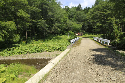 右股林道