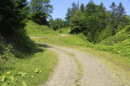 新興松川林道
