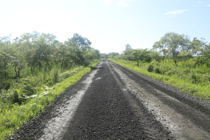 道道クッチョロ原野塘路線
