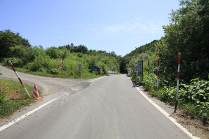 川里林道