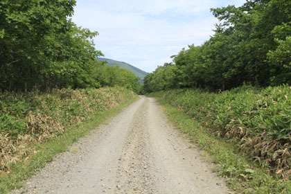 西別林道・虹別林道