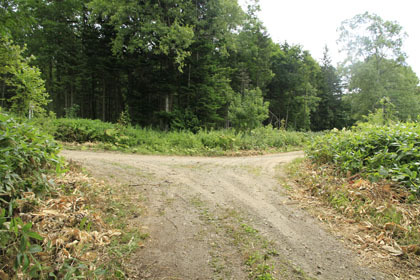 野上峠林道