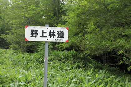 野上林道