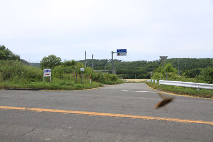 水上林道