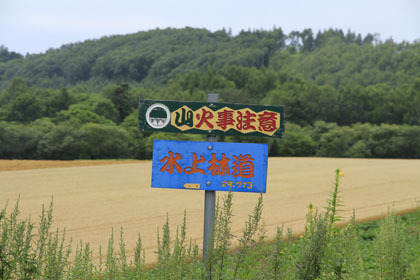 水上林道