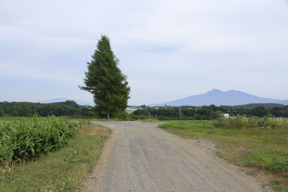 水上林道