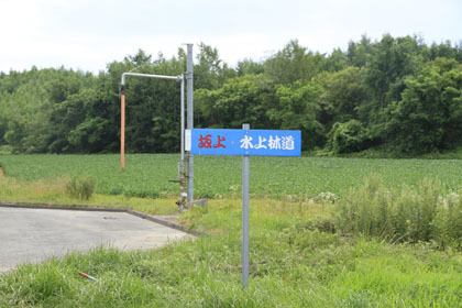 水上林道