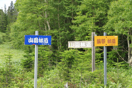 山園林道