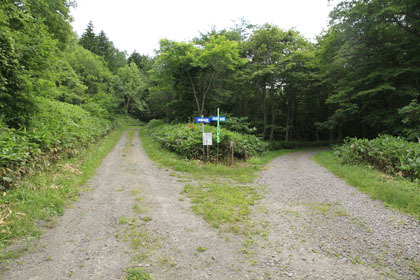 山園林道