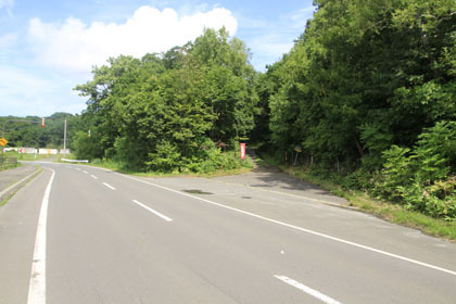 能取林道