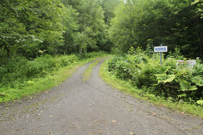 能取林道