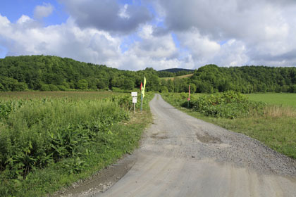 珊幸林道