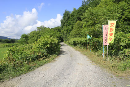 珊幸林道