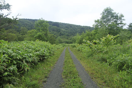 三笠山林道