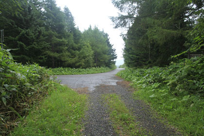 三笠山林道