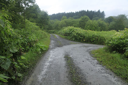 ケモマナイ越林道
