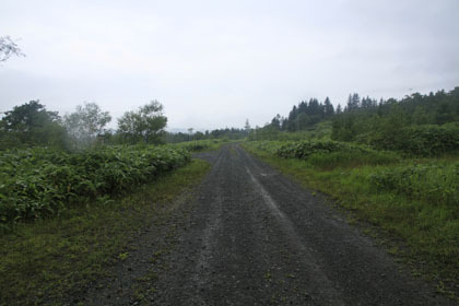 ケモマナイ越林道