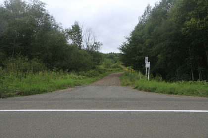 小利別林道
