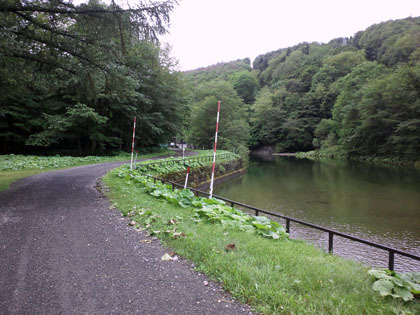 オソウシサラウンナイ林道