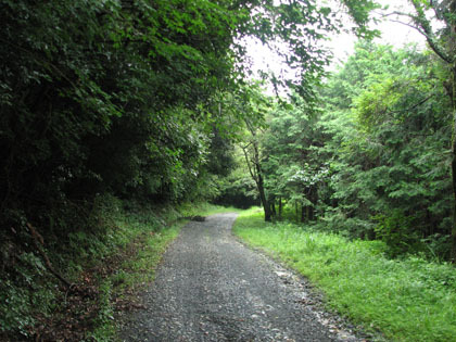 扇山林道