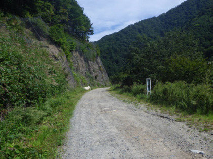 田代山林道